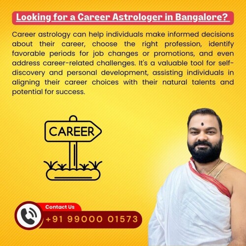 Looking-for-a-Career-Astrologer-in-Bangalore.jpg